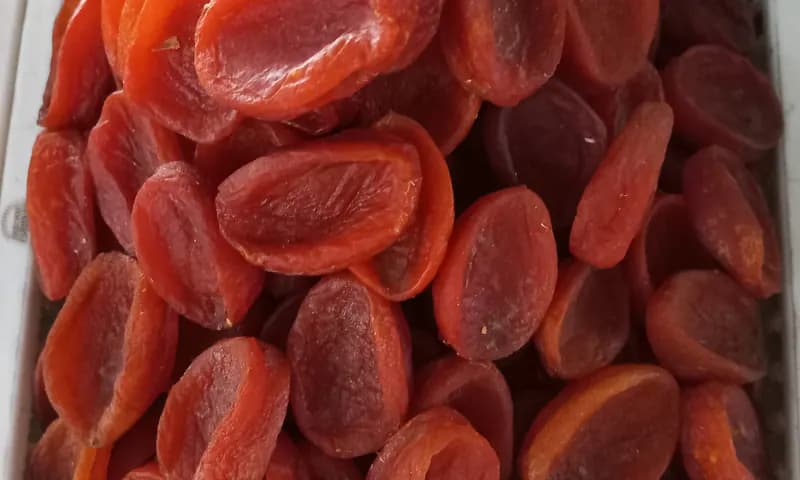 Tray of dried apricot halves packed for trade
