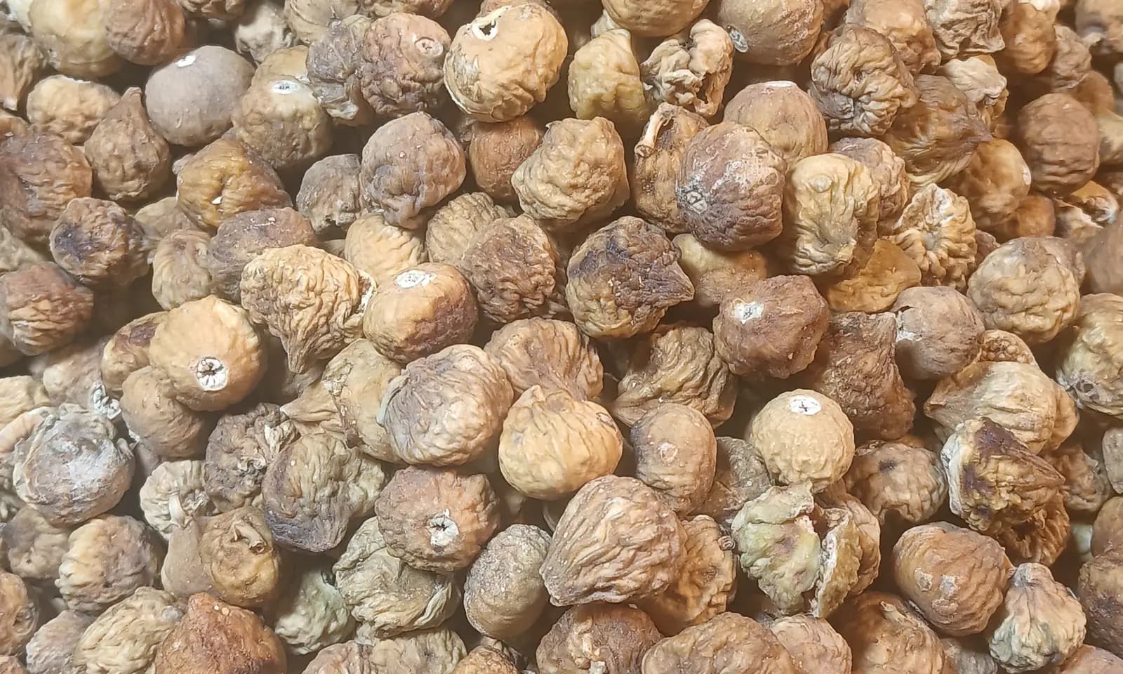 Close-up heap of whole sun-dried figs