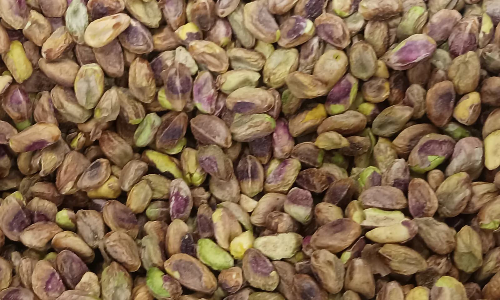 Loose shelled pistachio kernels with natural skins