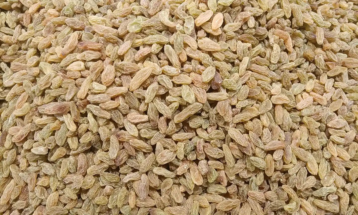 Close-up heap of golden-green kishmish raisins, export-grade dried fruit